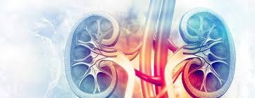 Clinical Urology Treatment